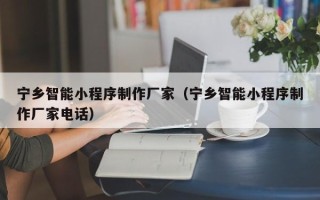射洪宁乡智能小程序制作厂家（宁乡智能小程序制作厂家电话）