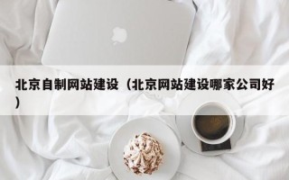 射洪北京自制网站建设（北京网站建设哪家公司好）