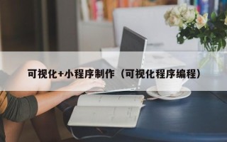 射洪可视化+小程序制作（可视化程序编程）